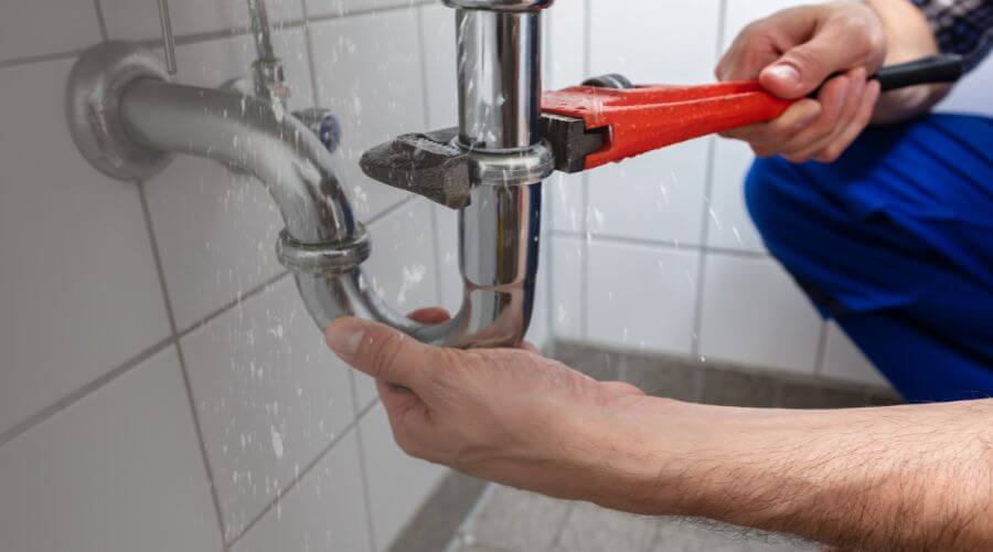 Thermal Imaging Leak Detection in Webster, FL